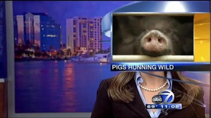 News Anchors Break Down on Camera Causing Hilarious Bloopers