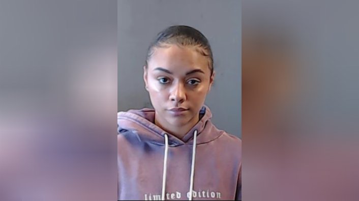 Article Image: 'Power' Actress Alix Lapri Arrested in Georgia on Child Cruelty Charge