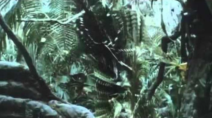 Image: Predator