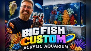 DJ Vlad Gets 300 Gallon Aquarium from Big Fish Custom Acrylic Aquariums