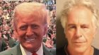 Image: Jeffrey Epstein's Lawyer Responds to Elon Musk's Claims of Trump Being Named in Epstein Files